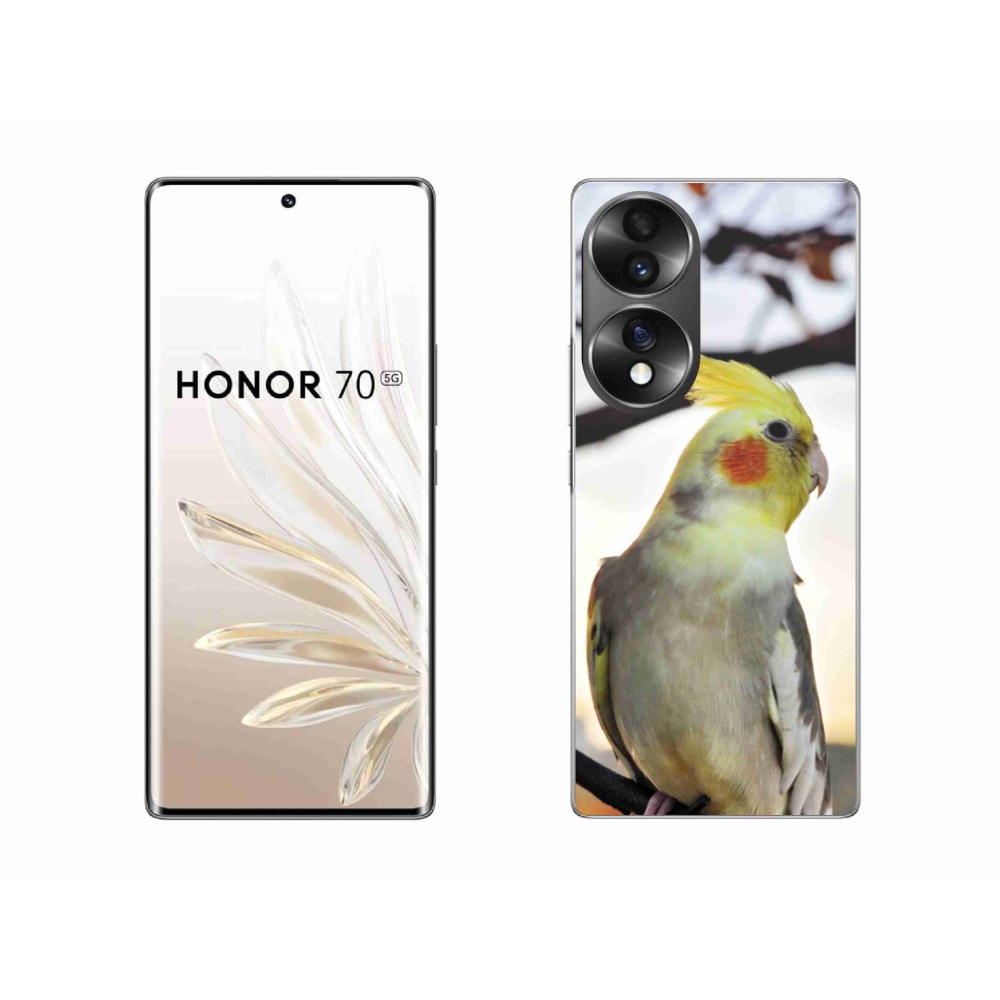 Gelový kryt mmCase na Honor 70 - papoušek korela