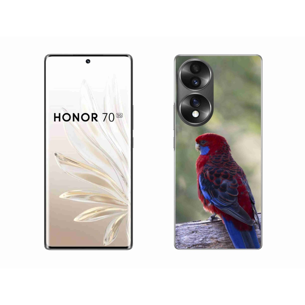 Gelový kryt mmCase na Honor 70 - papoušek rosela