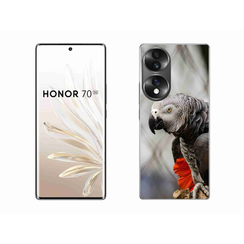 Gelový kryt mmCase na Honor 70 - papoušek žako 3