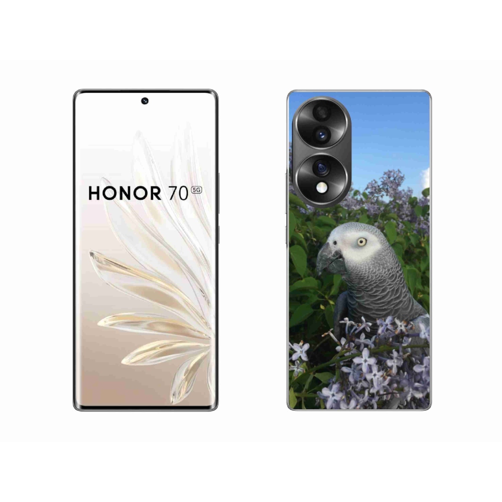Gelový kryt mmCase na Honor 70 - papoušek žako