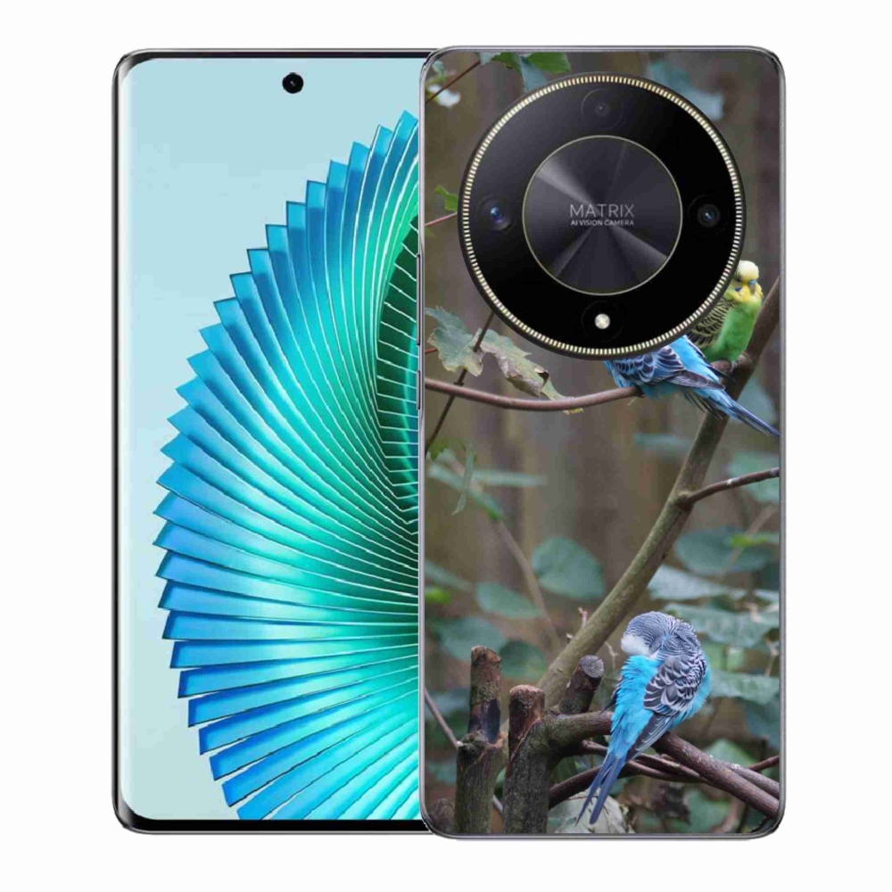 Gelový kryt mmCase na Honor Magic 6 Lite 5G - papoušci na větvi