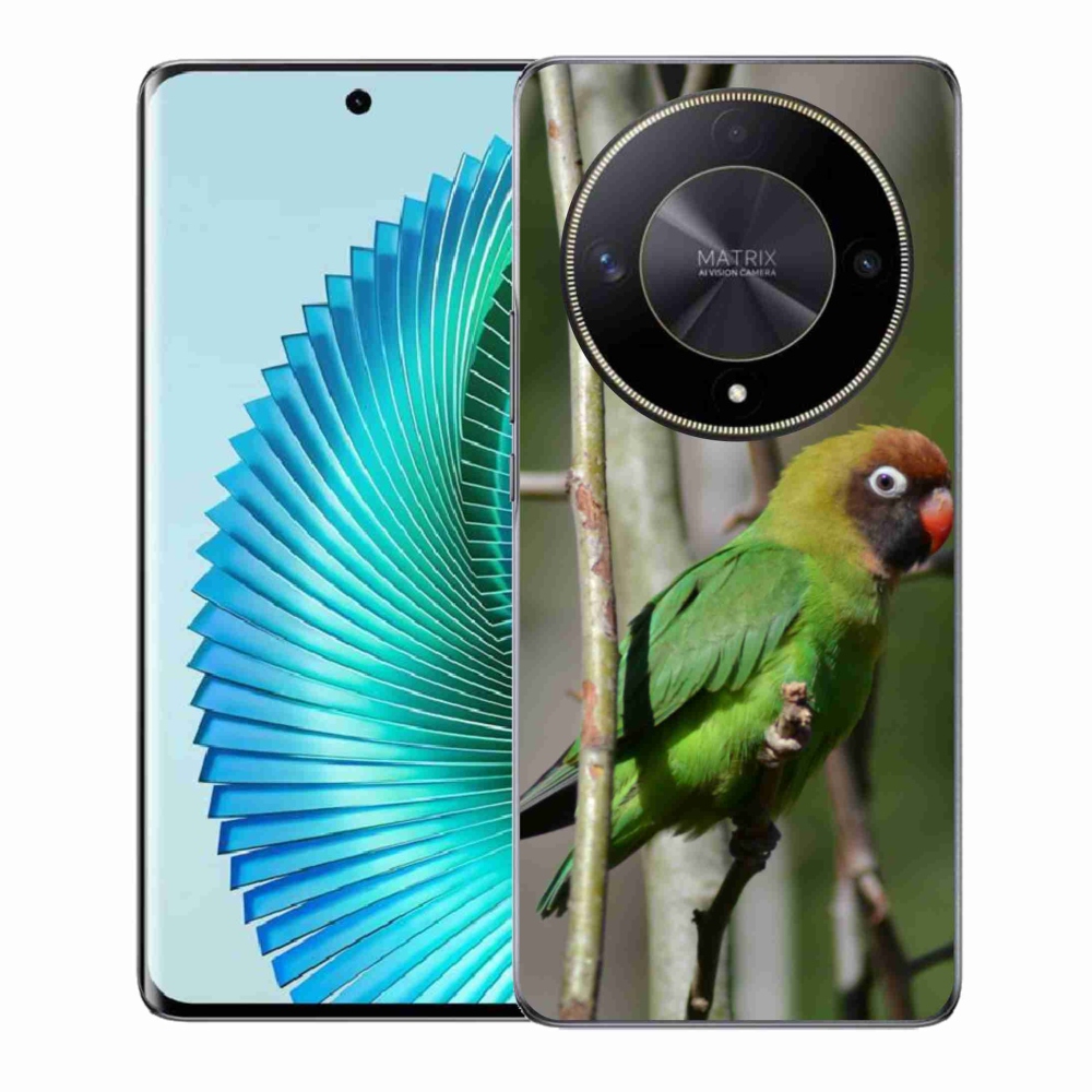 Gelový kryt mmCase na Honor Magic 6 Lite 5G - papoušek agapornis