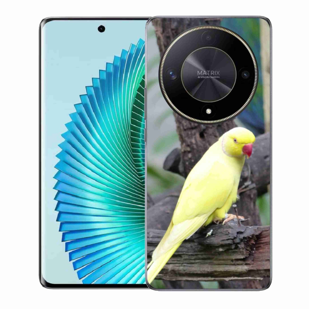 Gelový kryt mmCase na Honor Magic 6 Lite 5G - papoušek alexandr žlutý