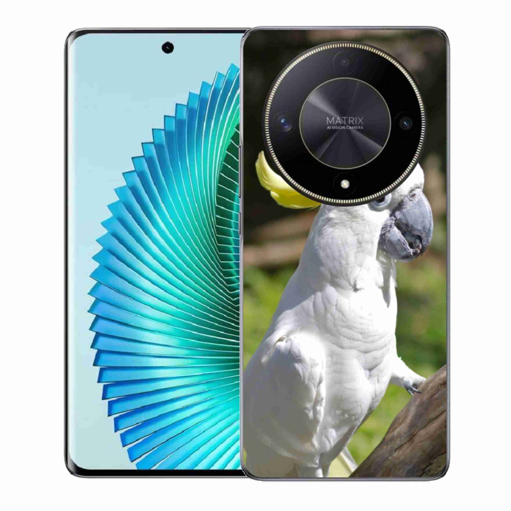 Gelový kryt mmCase na Honor Magic 6 Lite 5G - papoušek kakadu 2