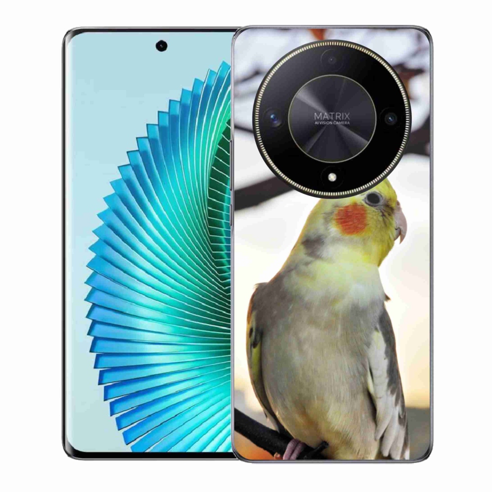 Gelový kryt mmCase na Honor Magic 6 Lite 5G - papoušek korela