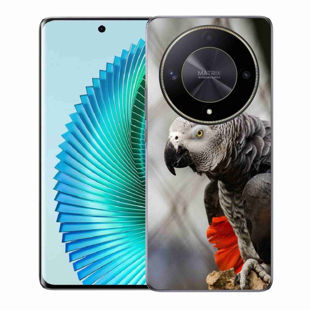 Gelový kryt mmCase na Honor Magic 6 Lite 5G - papoušek žako 3
