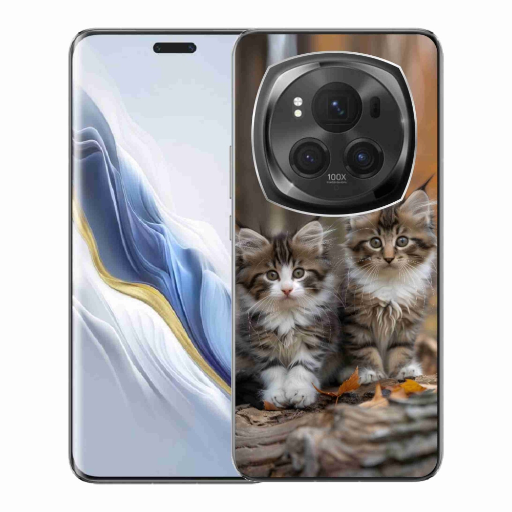 Gelový kryt mmCase na Honor Magic 6 Pro 5G - kočičí duo 3