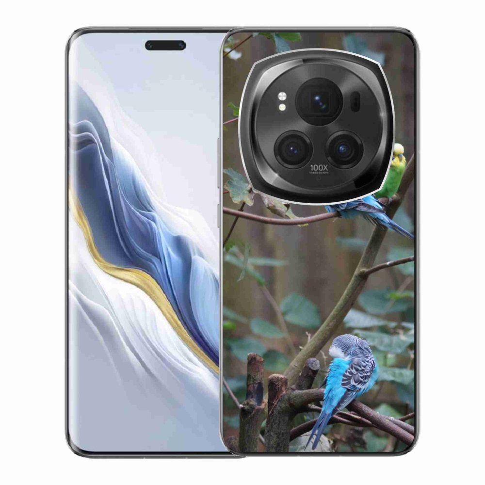 Gelový kryt mmCase na Honor Magic 6 Pro 5G - papoušci na větvi