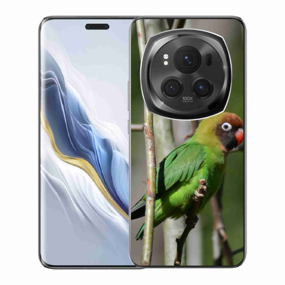 Gelový kryt mmCase na Honor Magic 6 Pro 5G - papoušek agapornis