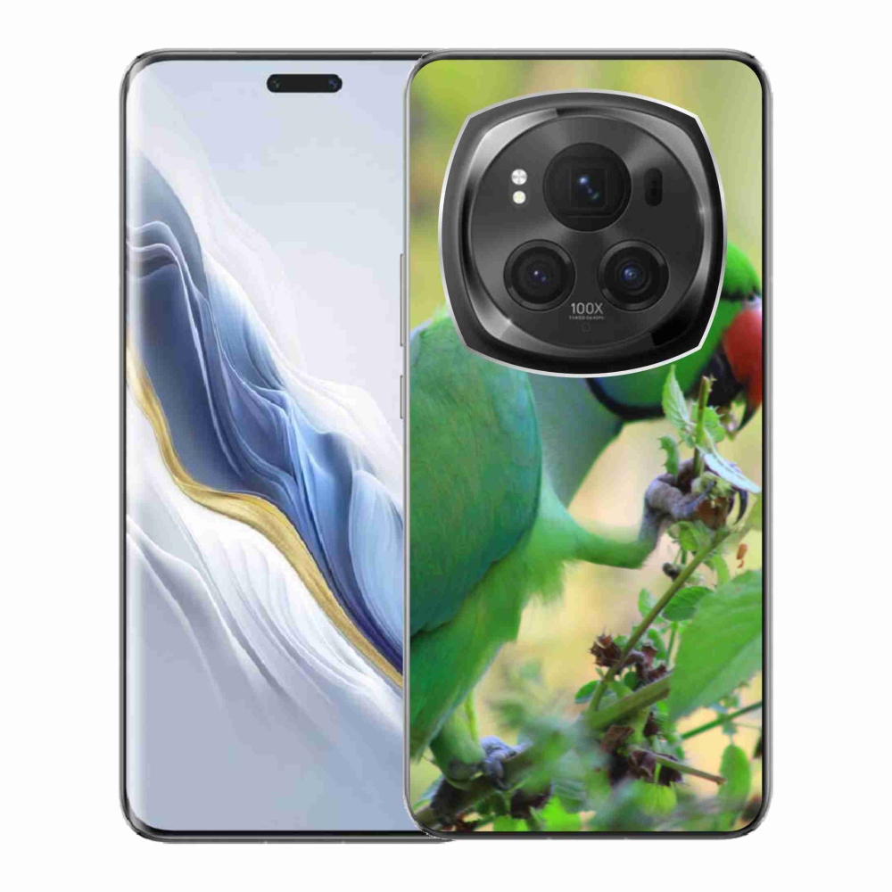 Gelový kryt mmCase na Honor Magic 6 Pro 5G - papoušek alexandr