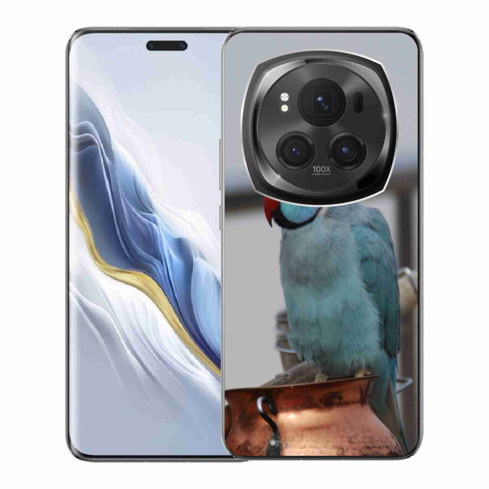 Gelový kryt mmCase na Honor Magic 6 Pro 5G - papoušek alexandr modrý