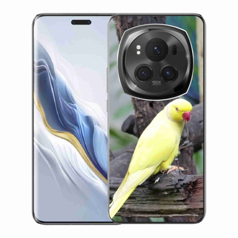 Gelový kryt mmCase na Honor Magic 6 Pro 5G - papoušek alexandr žlutý