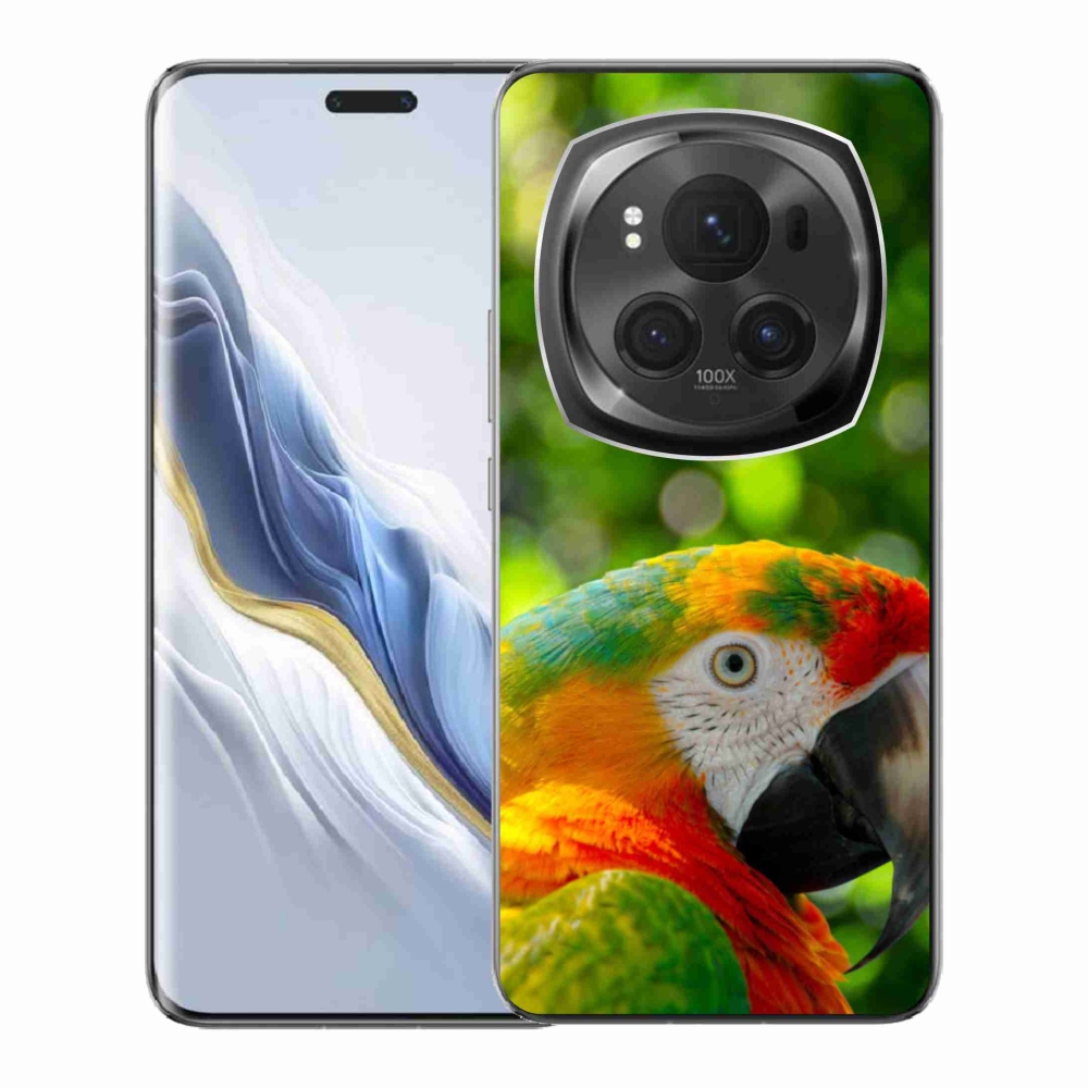 Gelový kryt mmCase na Honor Magic 6 Pro 5G - papoušek ara 3