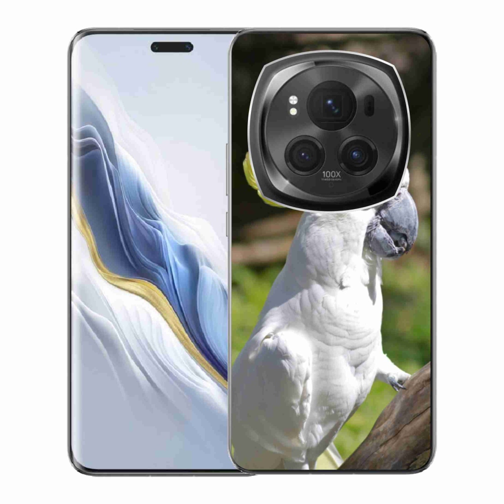 Gelový kryt mmCase na Honor Magic 6 Pro 5G - papoušek kakadu 2