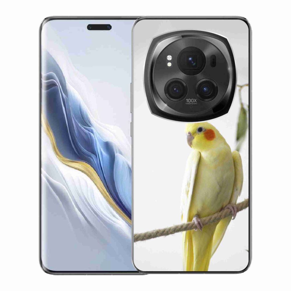 Gelový kryt mmCase na Honor Magic 6 Pro 5G - papoušek korela chocholatá