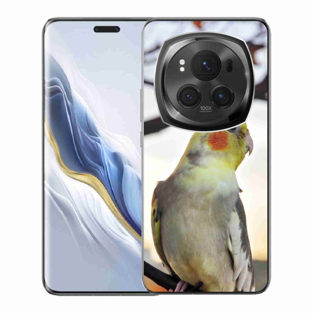 Gelový kryt mmCase na Honor Magic 6 Pro 5G - papoušek korela