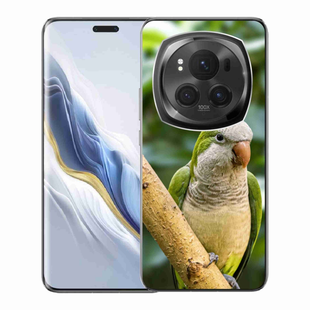 Gelový kryt mmCase na Honor Magic 6 Pro 5G - papoušek mníšek