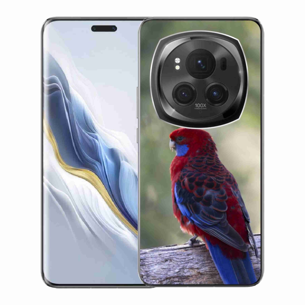 Gelový kryt mmCase na Honor Magic 6 Pro 5G - papoušek rosela