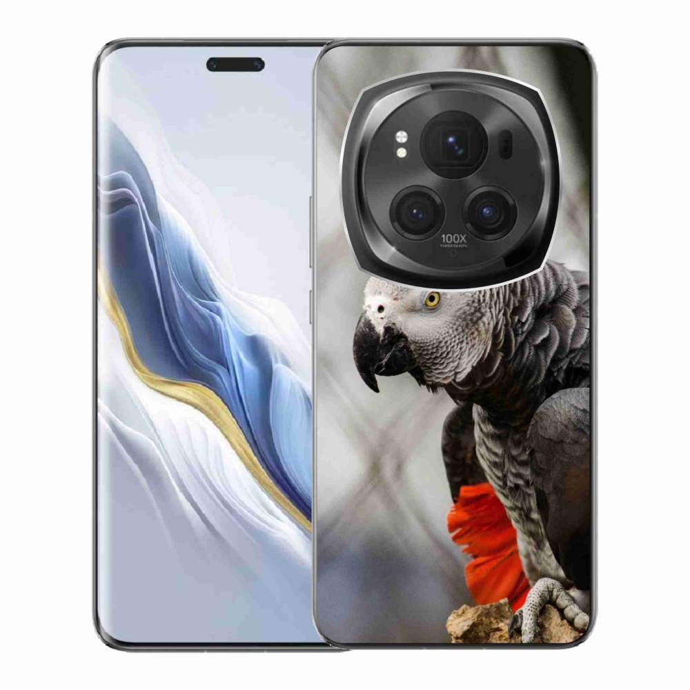 Gelový kryt mmCase na Honor Magic 6 Pro 5G - papoušek žako 3