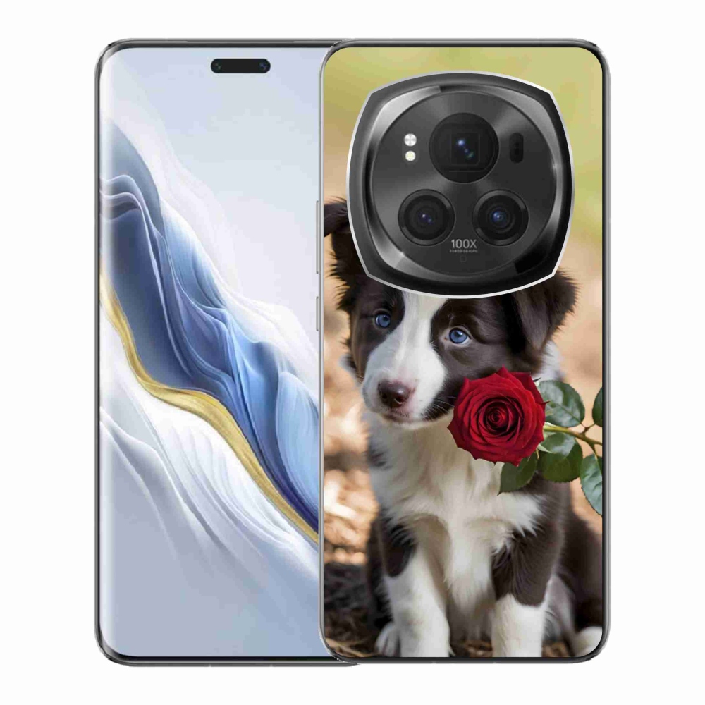 Gelový kryt mmCase na Honor Magic 6 Pro 5G - roztomilá border kolie s růží
