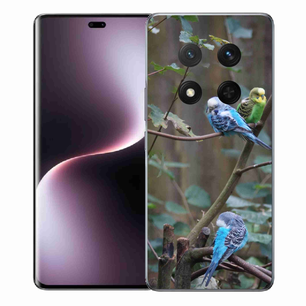 Gelový kryt mmCase na Honor Magic 7 Lite - papoušci na větvi