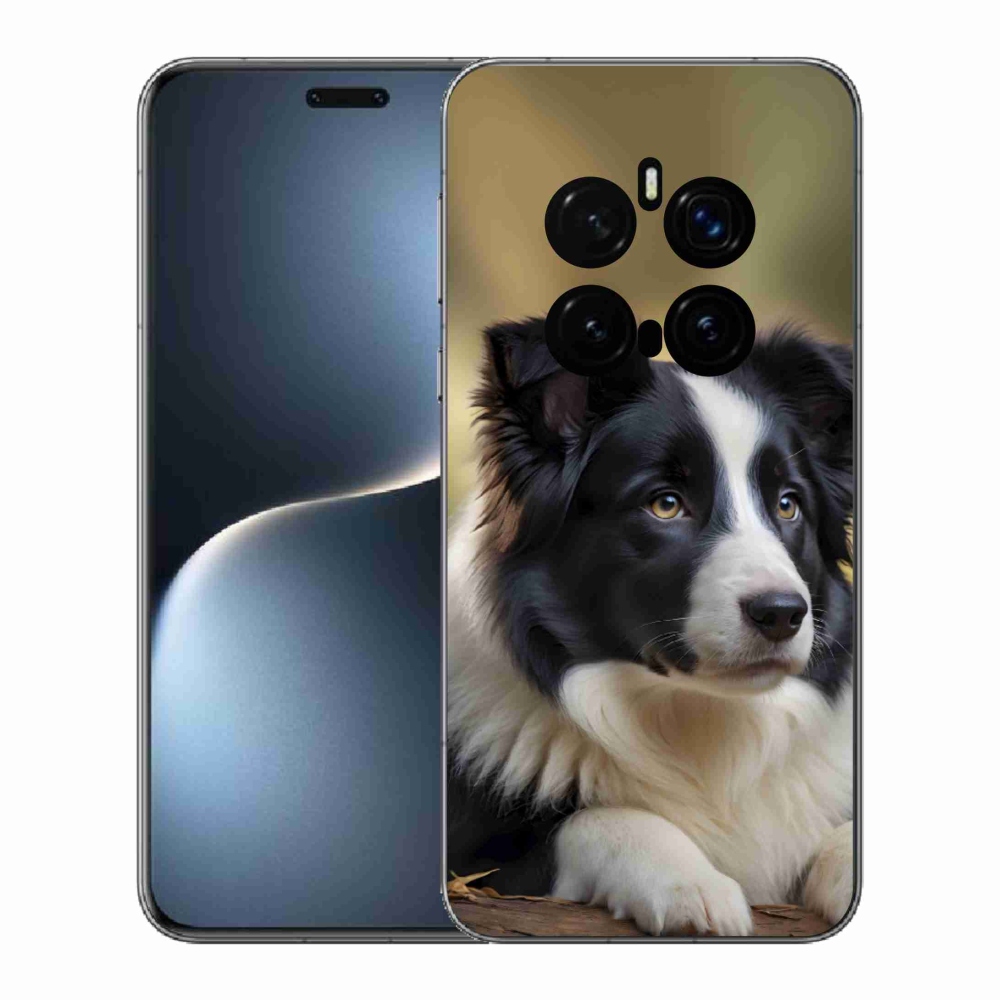 Gelový kryt mmCase na Honor Magic 7 Pro 5G - border kolie 2