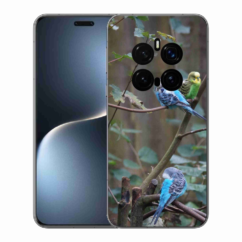 Gelový kryt mmCase na Honor Magic 7 Pro 5G - papoušci na větvi