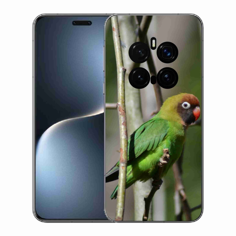 Gelový kryt mmCase na Honor Magic 7 Pro 5G - papoušek agapornis