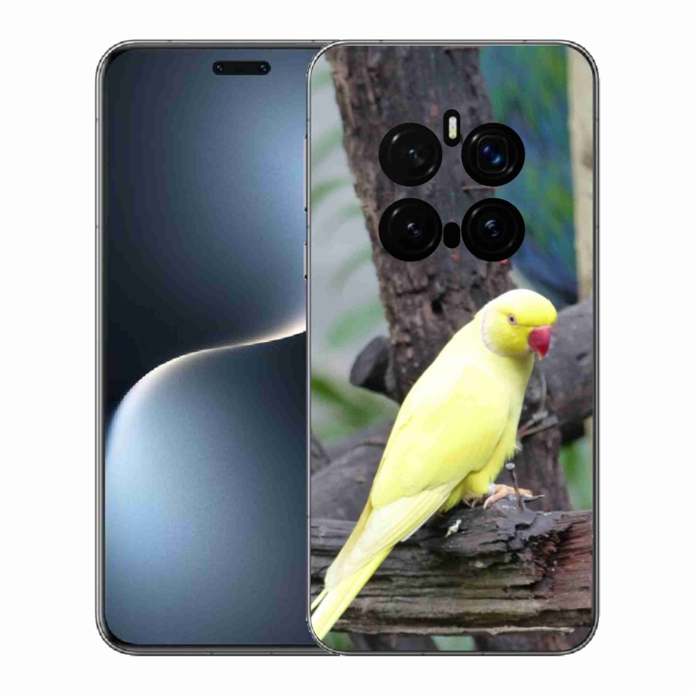 Gelový kryt mmCase na Honor Magic 7 Pro 5G - papoušek alexandr žlutý