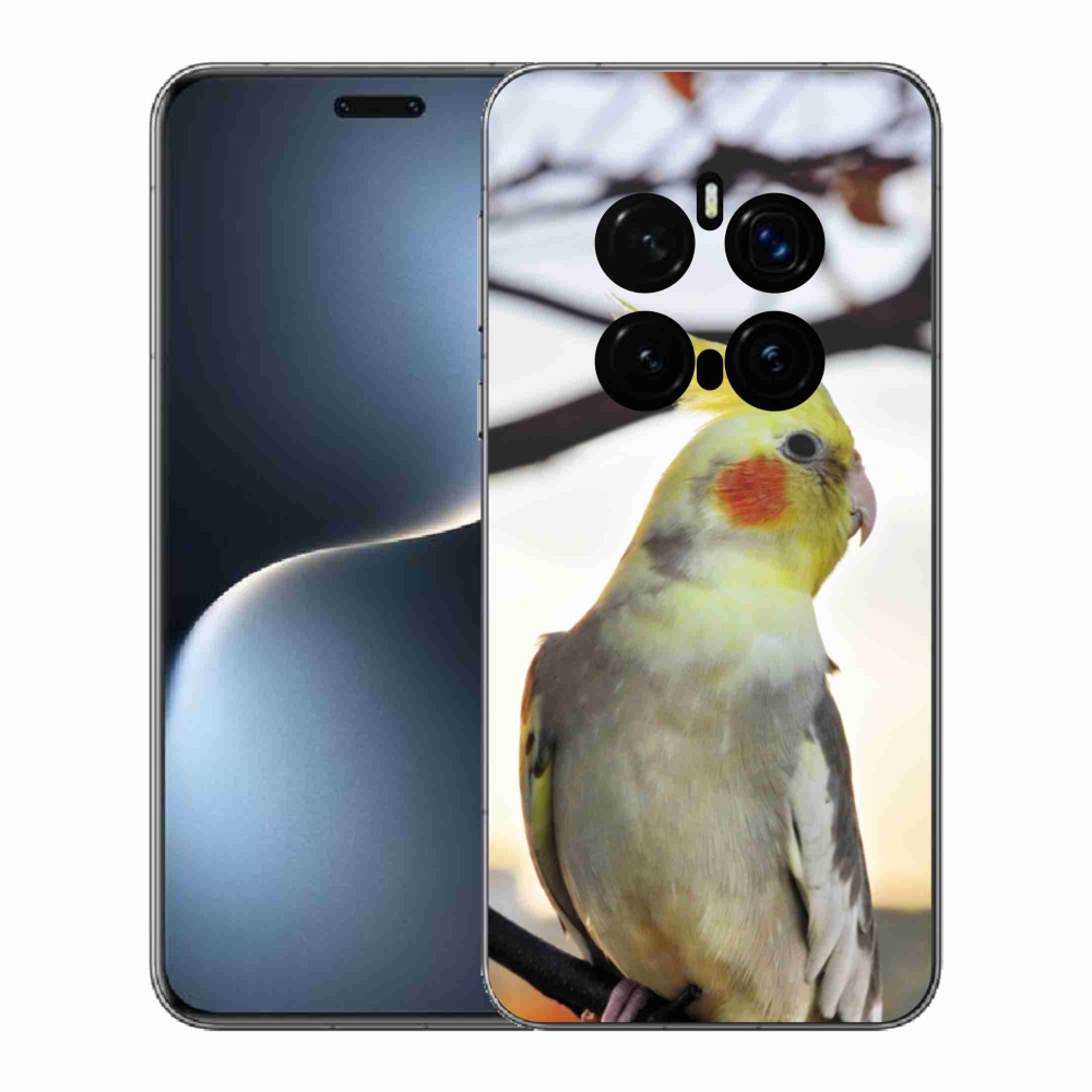 Gelový kryt mmCase na Honor Magic 7 Pro 5G - papoušek korela