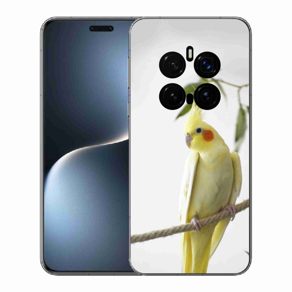 Gelový kryt mmCase na Honor Magic 7 Pro 5G - papoušek korela chocholatá