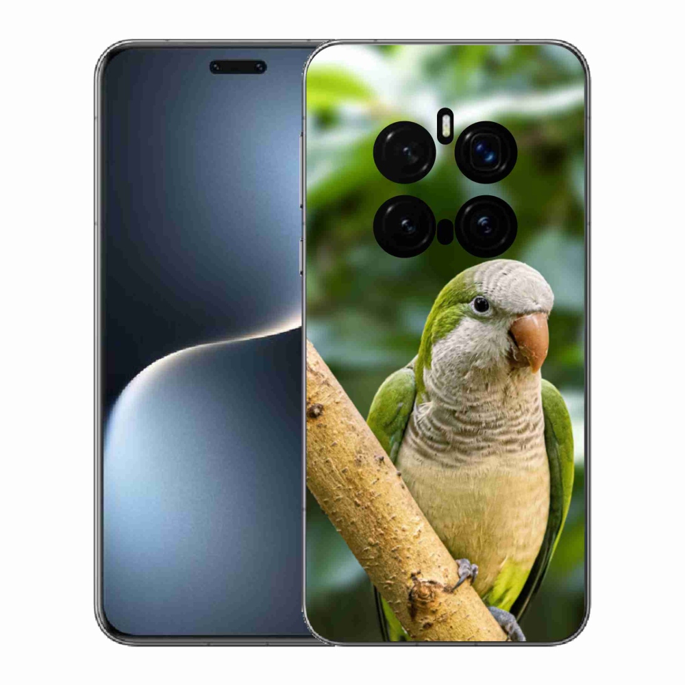 Gelový kryt mmCase na Honor Magic 7 Pro 5G - papoušek mníšek