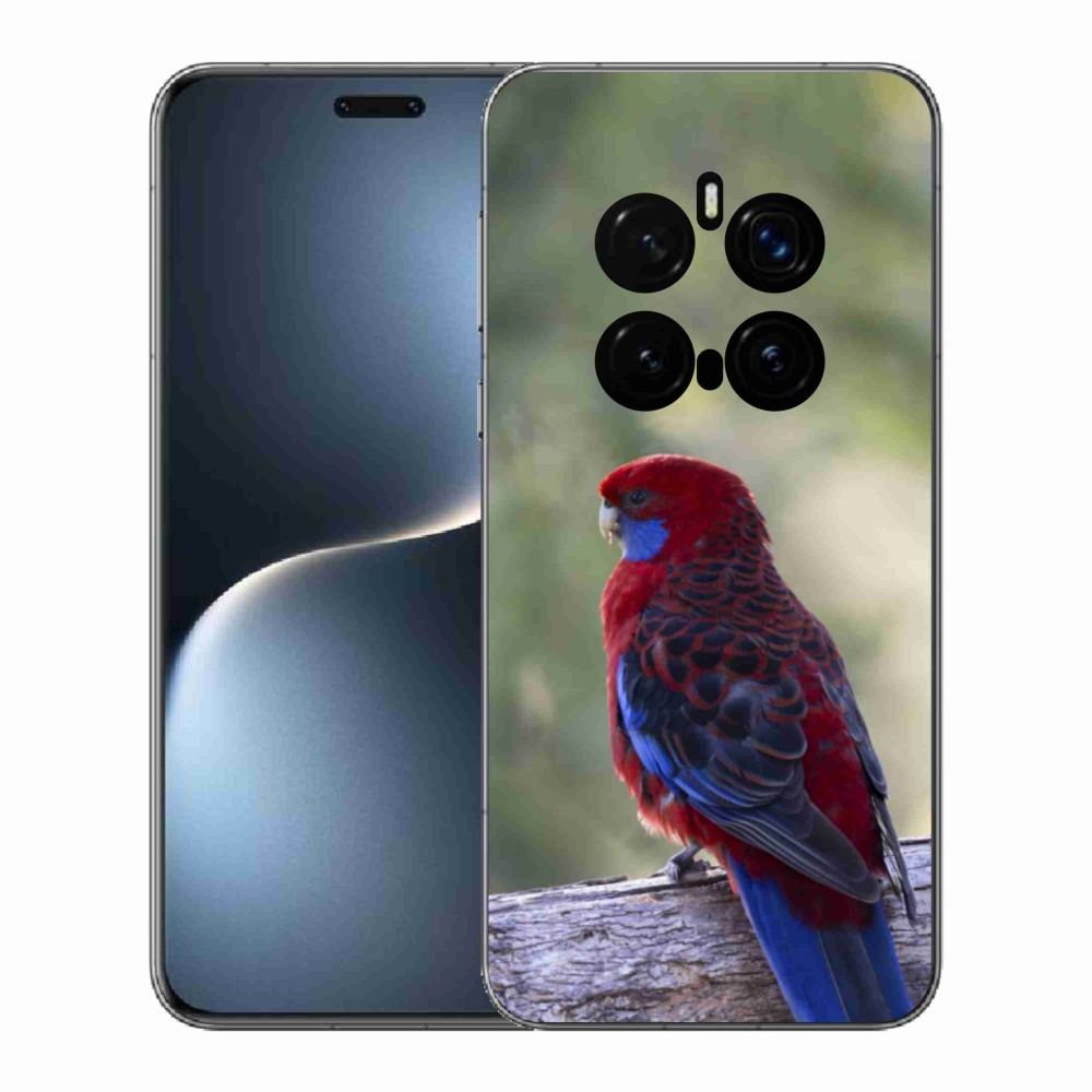 Gelový kryt mmCase na Honor Magic 7 Pro 5G - papoušek rosela