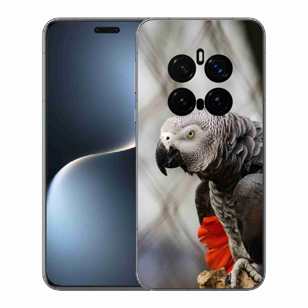 Gelový kryt mmCase na Honor Magic 7 Pro 5G - papoušek žako 3