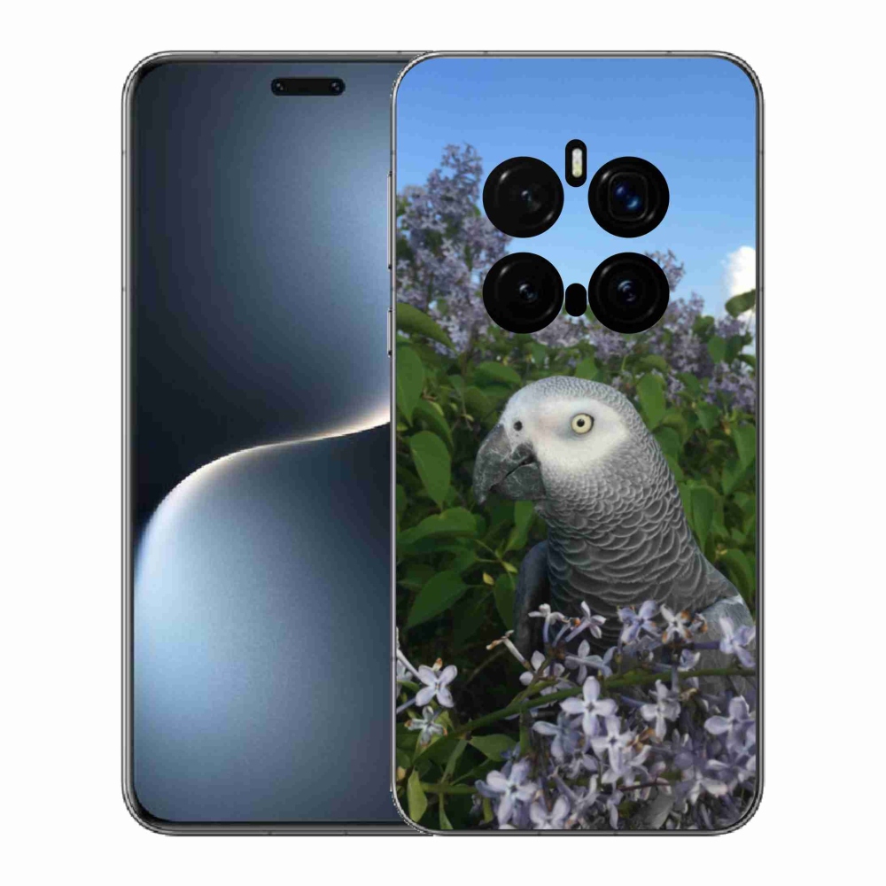 Gelový kryt mmCase na Honor Magic 7 Pro 5G - papoušek žako