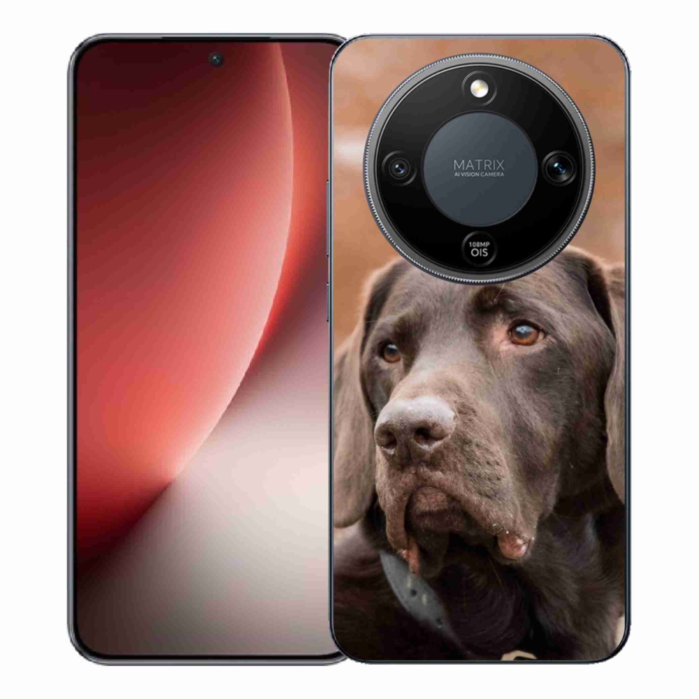 Gelový kryt mmCase na Honor Magic 8 Lite 5G - hnědý labrador
