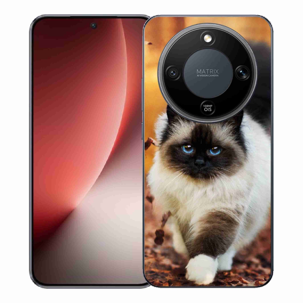 Gelový kryt mmCase na Honor Magic 8 Lite 5G - kočka