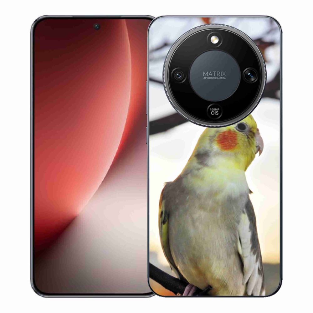 Gelový kryt mmCase na Honor Magic 8 Lite 5G - papoušek korela