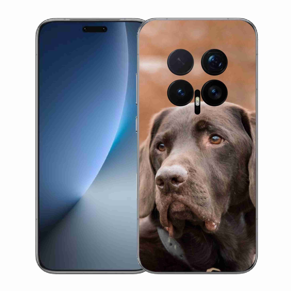 Gelový kryt mmCase na Honor Magic 8 Pro - hnědý labrador