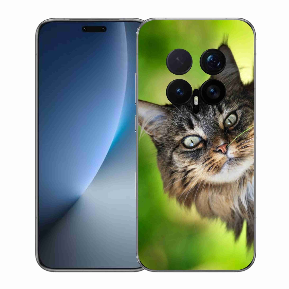 Gelový kryt mmCase na Honor Magic 8 Pro - kočka 3