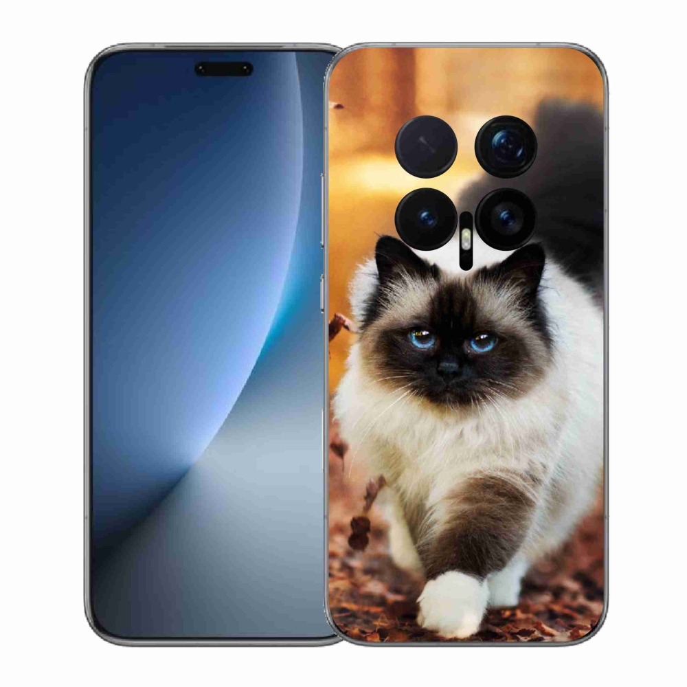 Gelový kryt mmCase na Honor Magic 8 Pro - kočka