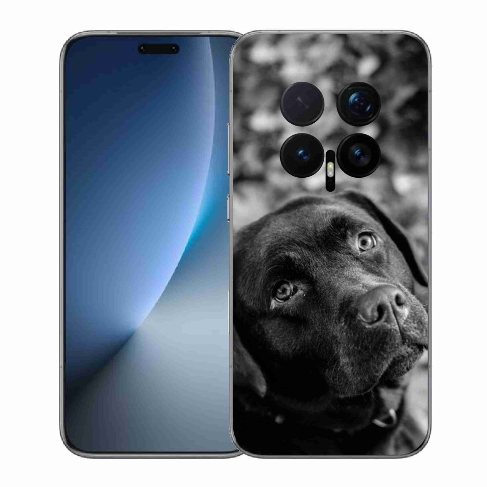 Gelový kryt mmCase na Honor Magic 8 Pro - labrador