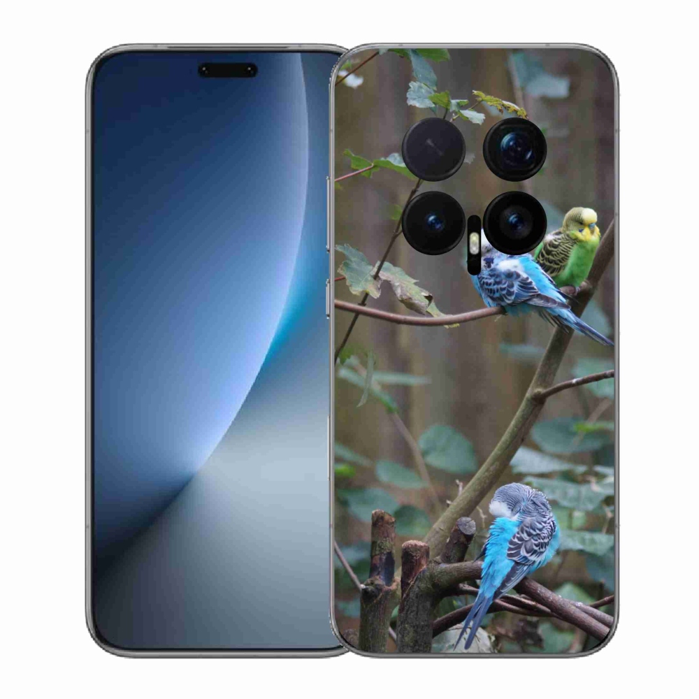 Gelový kryt mmCase na Honor Magic 8 Pro - papoušci na větvi