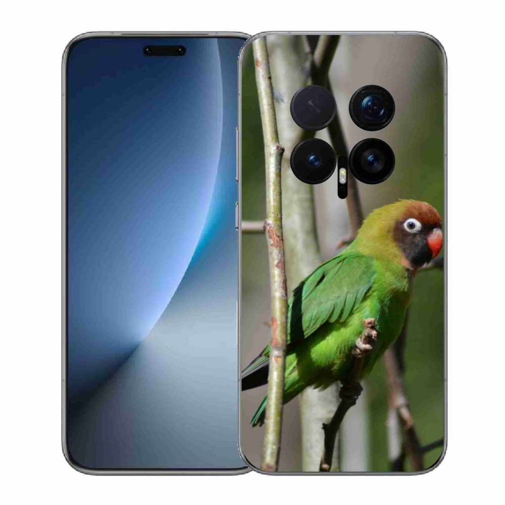 Gelový kryt mmCase na Honor Magic 8 Pro - papoušek agapornis