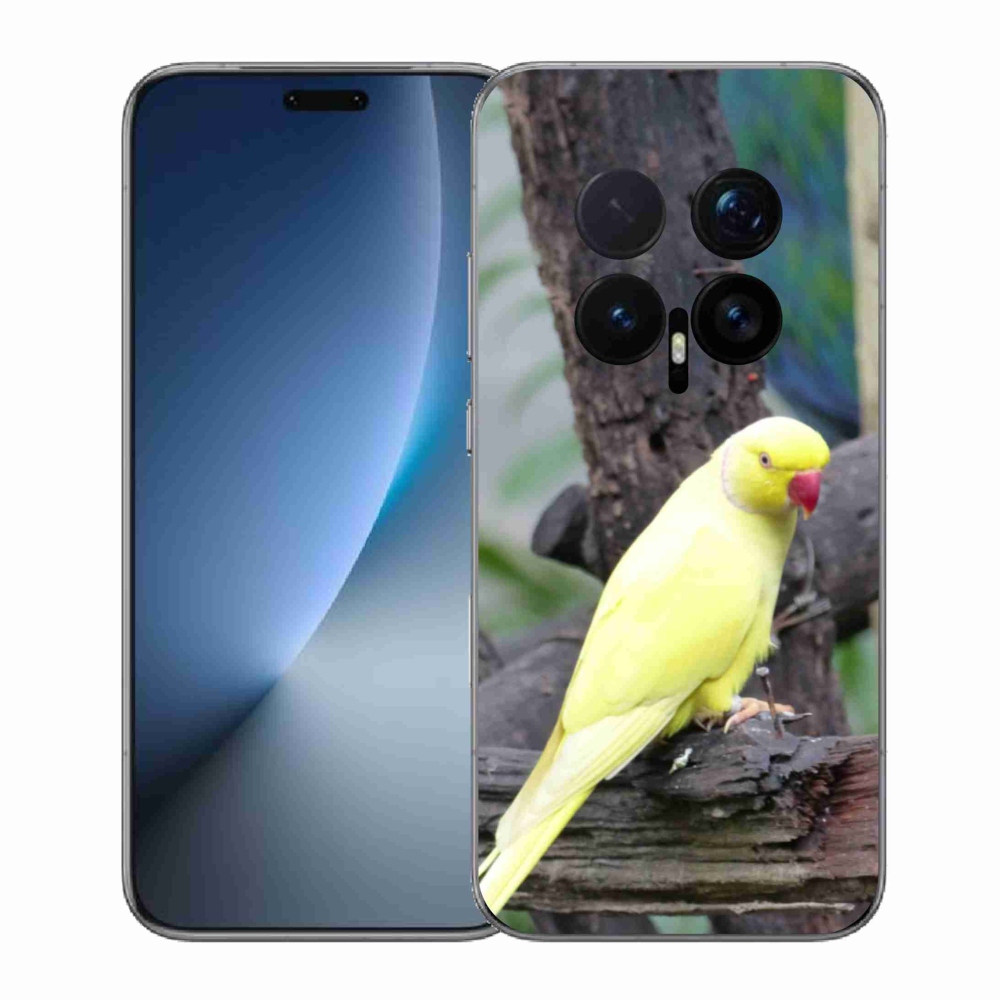 Gelový kryt mmCase na Honor Magic 8 Pro - papoušek alexandr žlutý