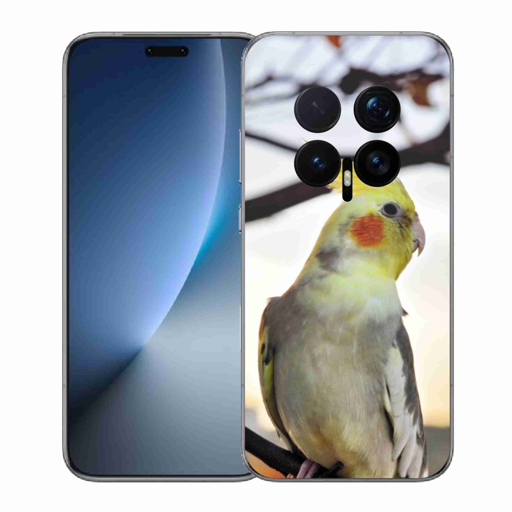 Gelový kryt mmCase na Honor Magic 8 Pro - papoušek korela