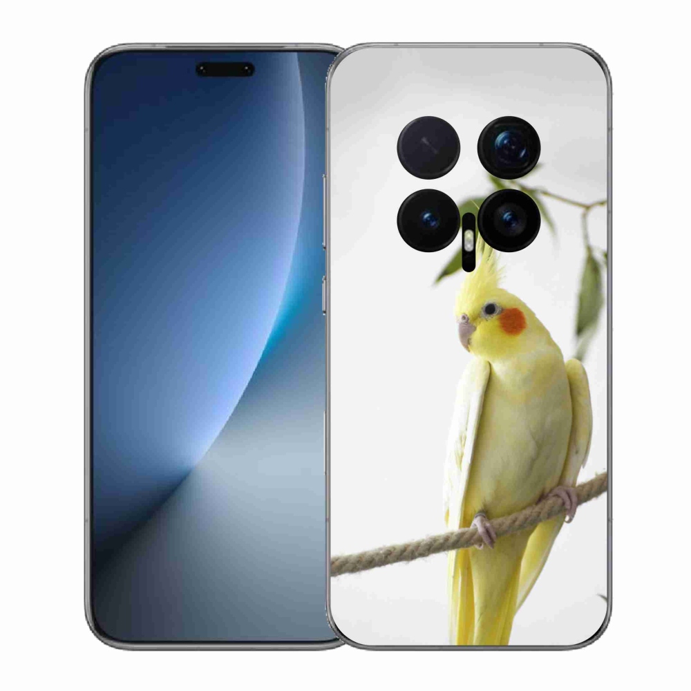 Gelový kryt mmCase na Honor Magic 8 Pro - papoušek korela chocholatá