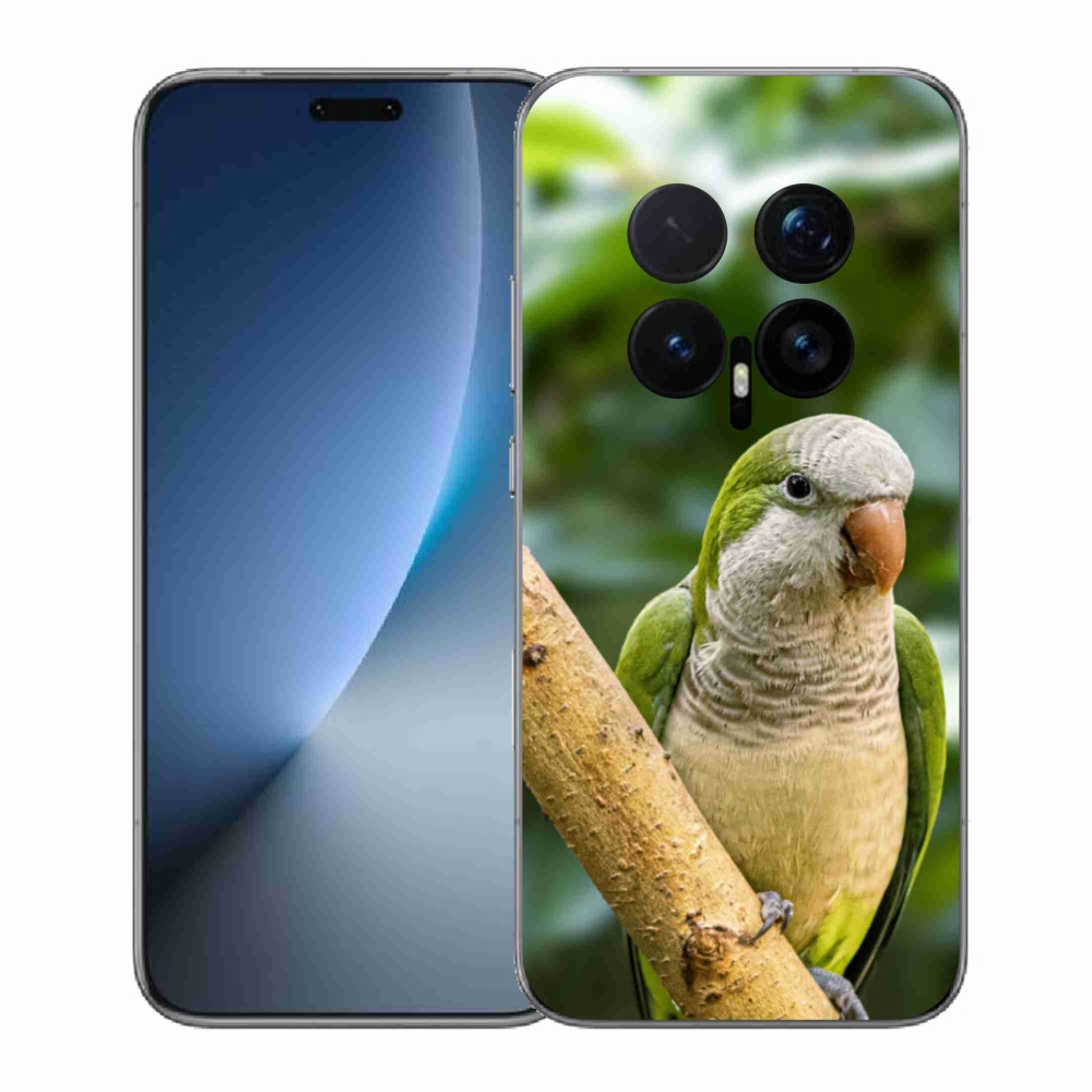 Gelový kryt mmCase na Honor Magic 8 Pro - papoušek mníšek