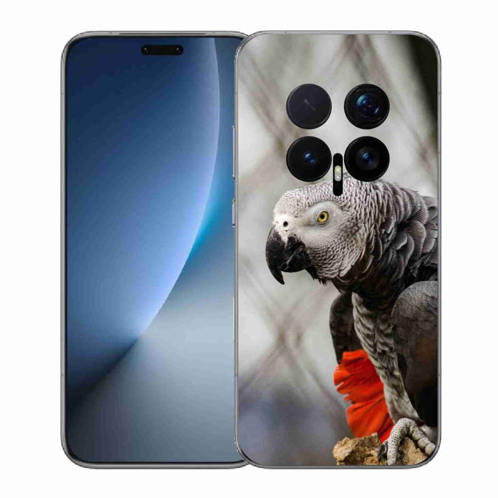 Gelový kryt mmCase na Honor Magic 8 Pro - papoušek žako 3