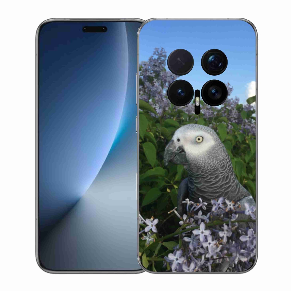 Gelový kryt mmCase na Honor Magic 8 Pro - papoušek žako